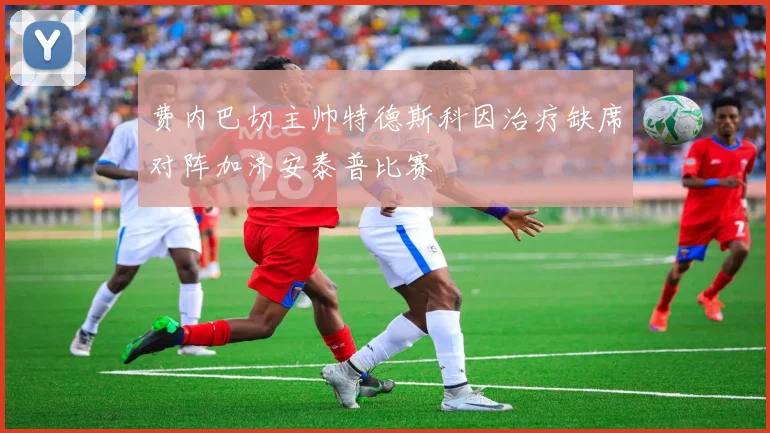 费内巴切主帅特德斯科因治疗缺席对阵加济安泰普比赛