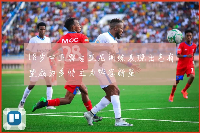 18岁中卫雷吉亚尼训练表现出色有望成为多特主力阵容新星