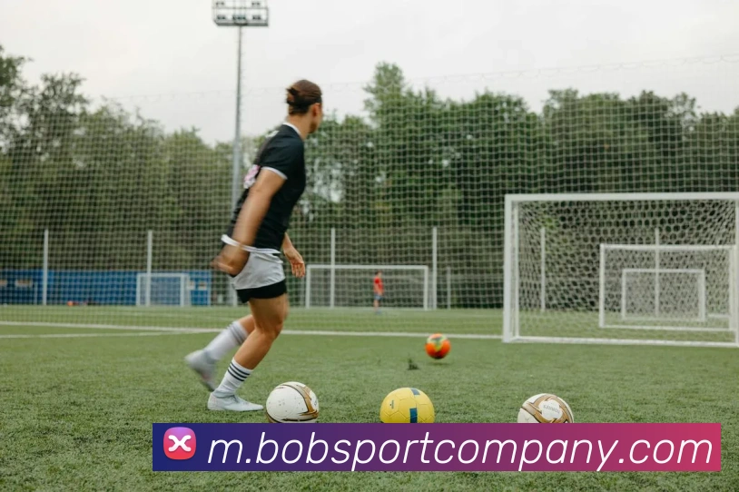 BOB足球平台生态图